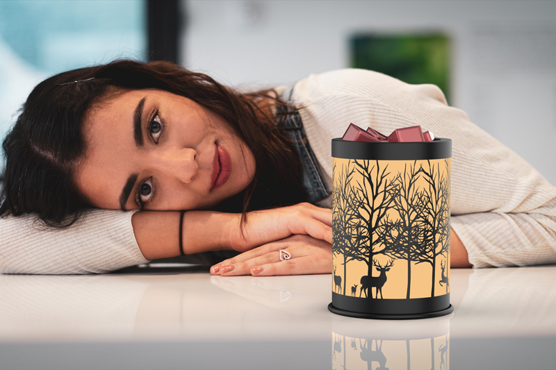 product-description2