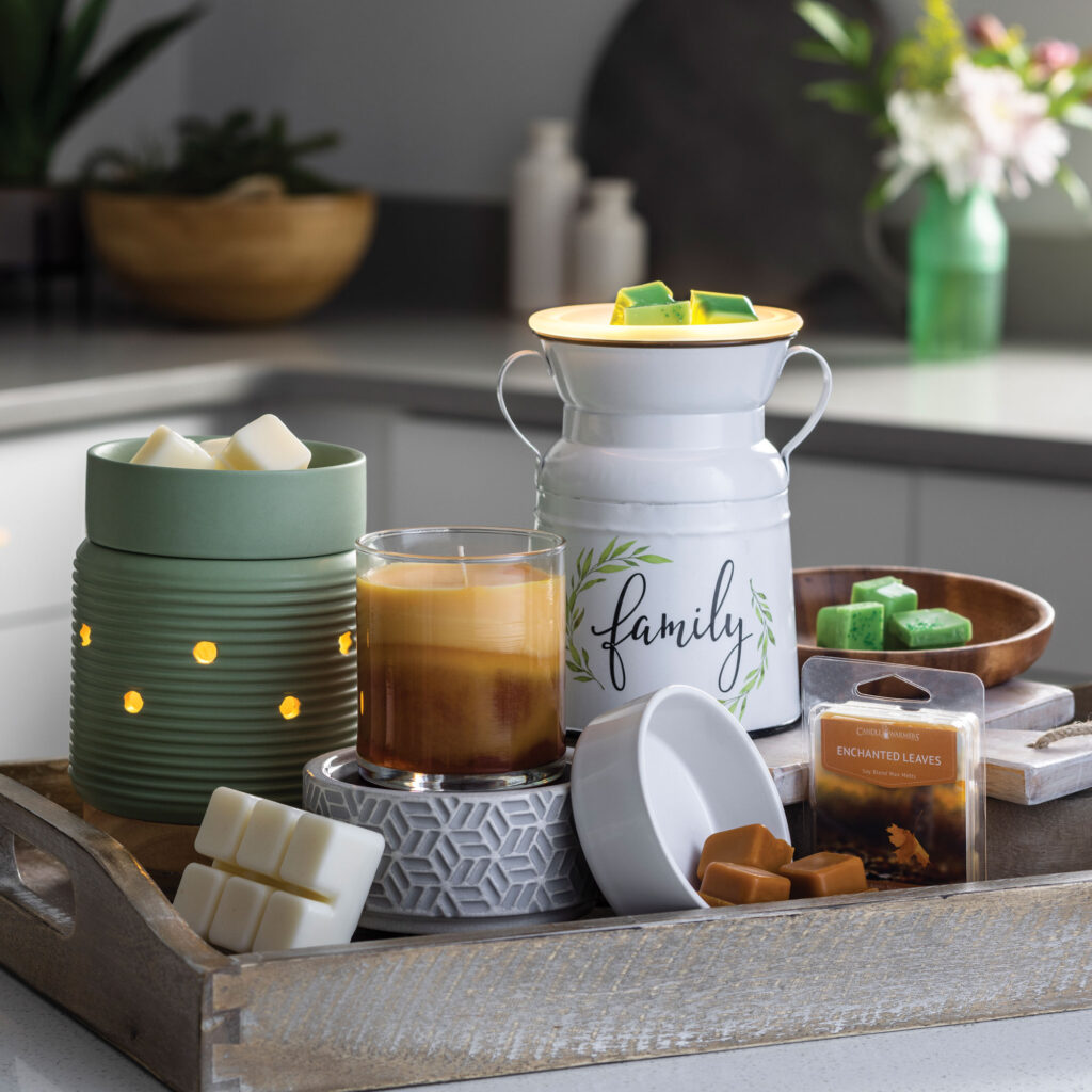Wax Warmers and Candles